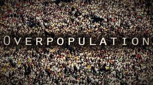 Photo of Overpopulation