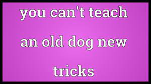 Photo of You Cannot Teach An Old Dog New Tricks